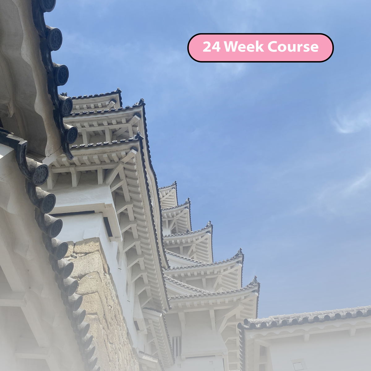Advanced Japanese (September)
