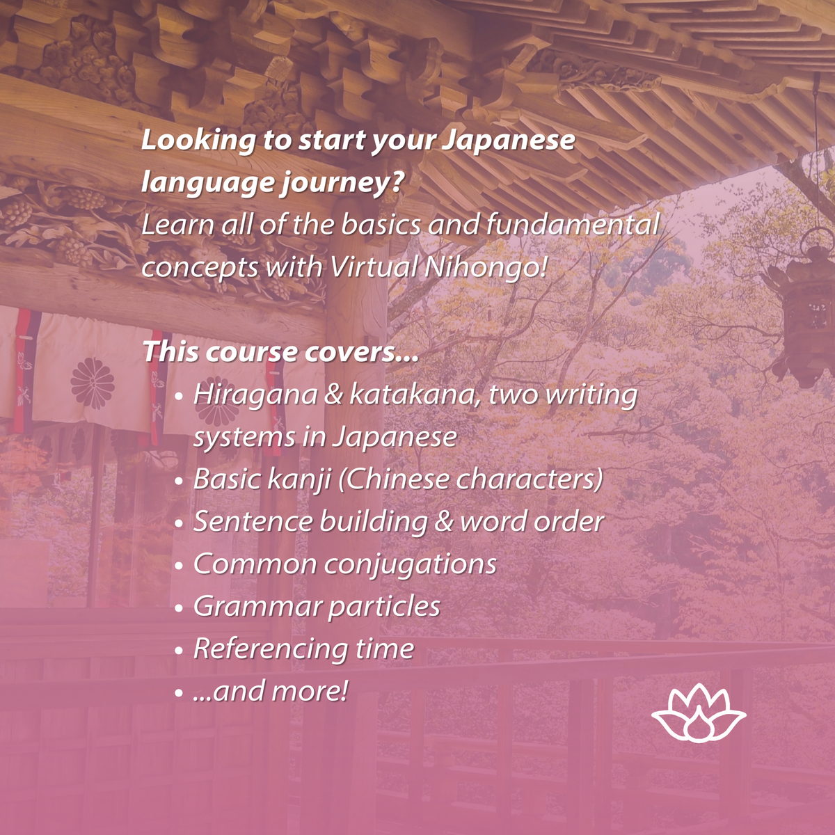 Beginner Japanese (September)