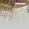 Beginner Japanese (September)