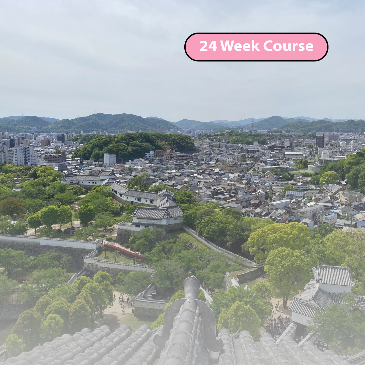 Intermediate Japanese (September)
